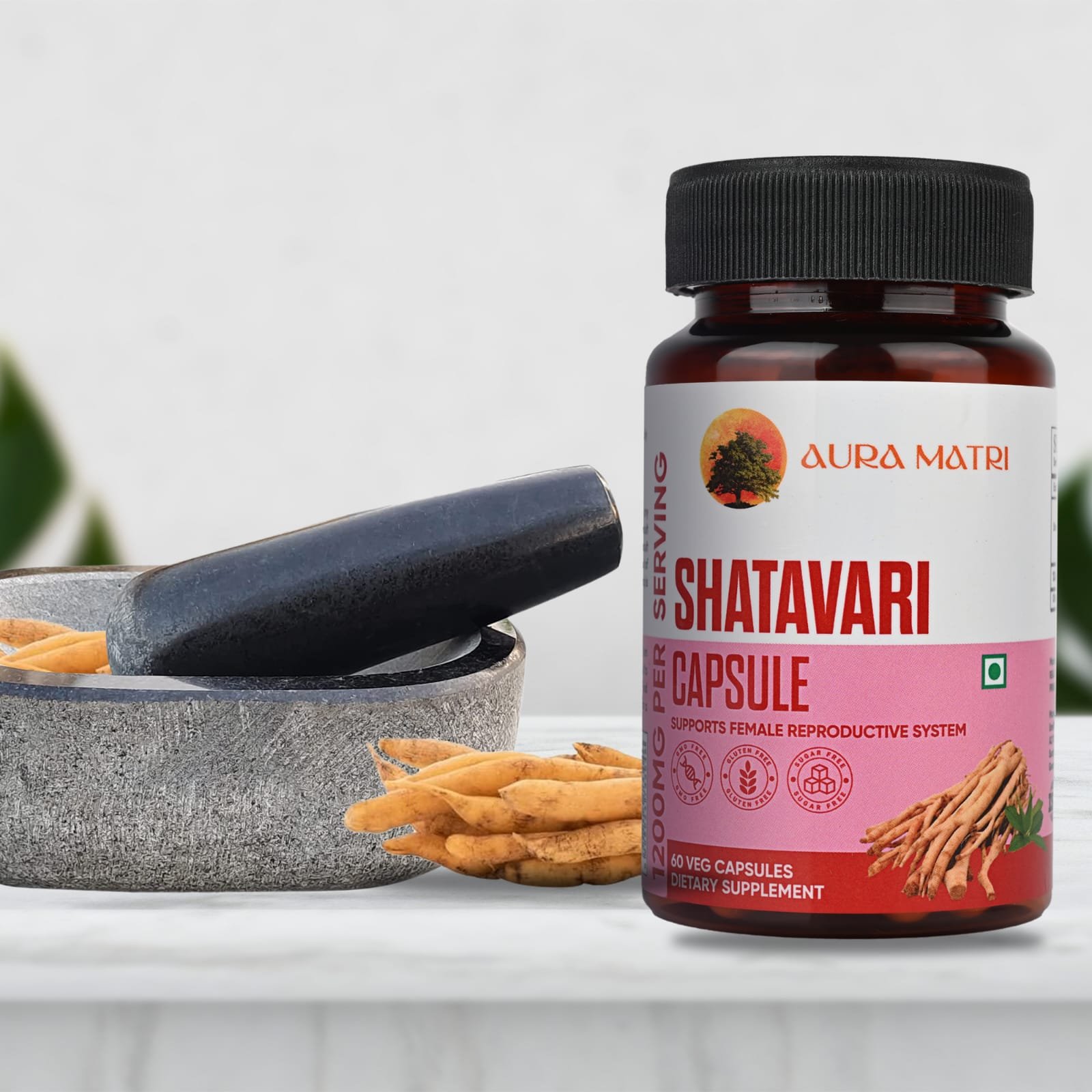 WhatsApp Image 2025-11-05 at 2.48.34 PM