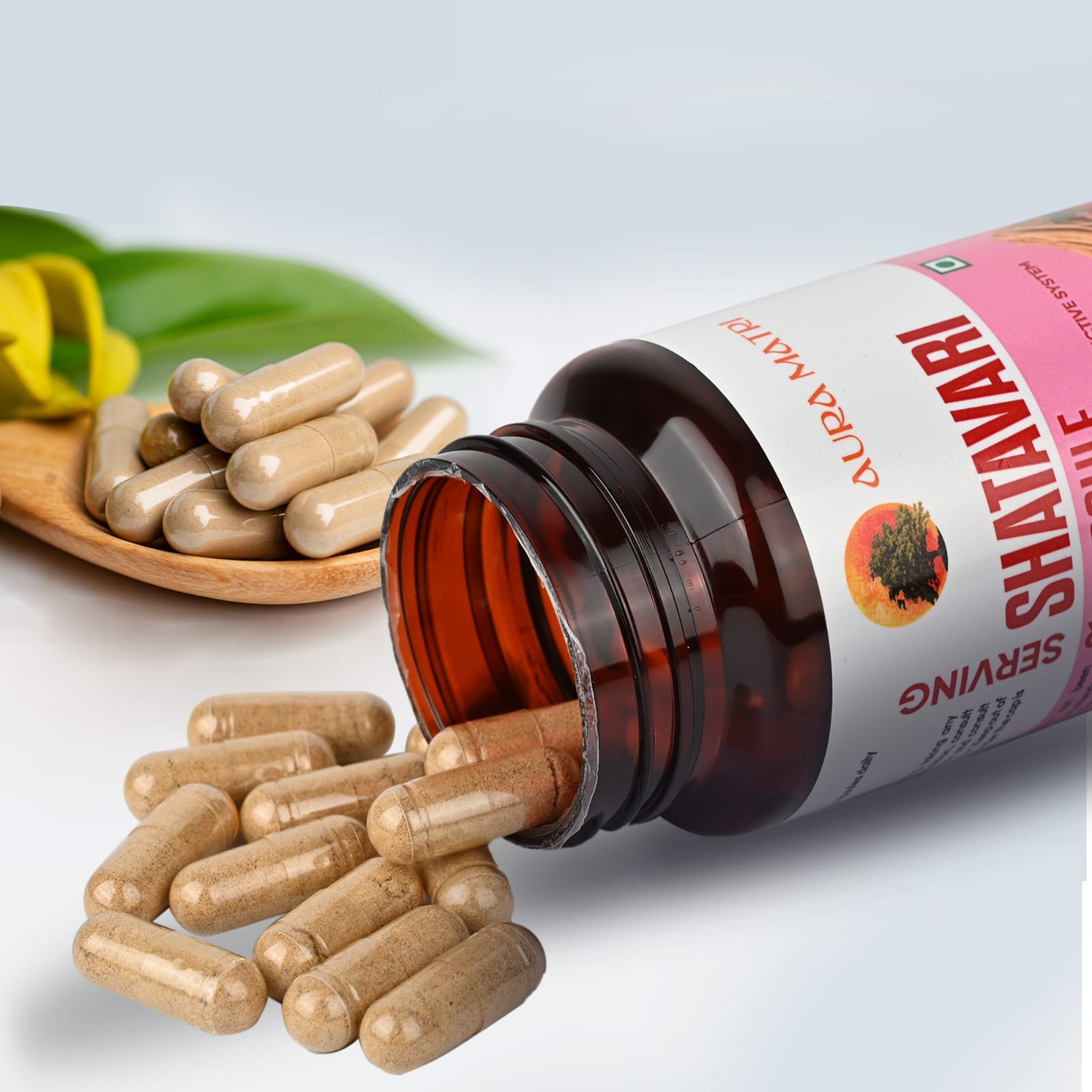 WhatsApp Image 2025-11-05 at 2.48.36 PM